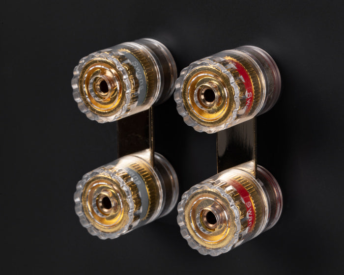 Swans M1 MK2 Stativhögtalare