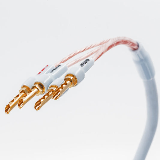 Supra XL Annorum CombiCon Bi-Amp 4Banana - 4Banana (pair) Terminerad-högtalarkabel