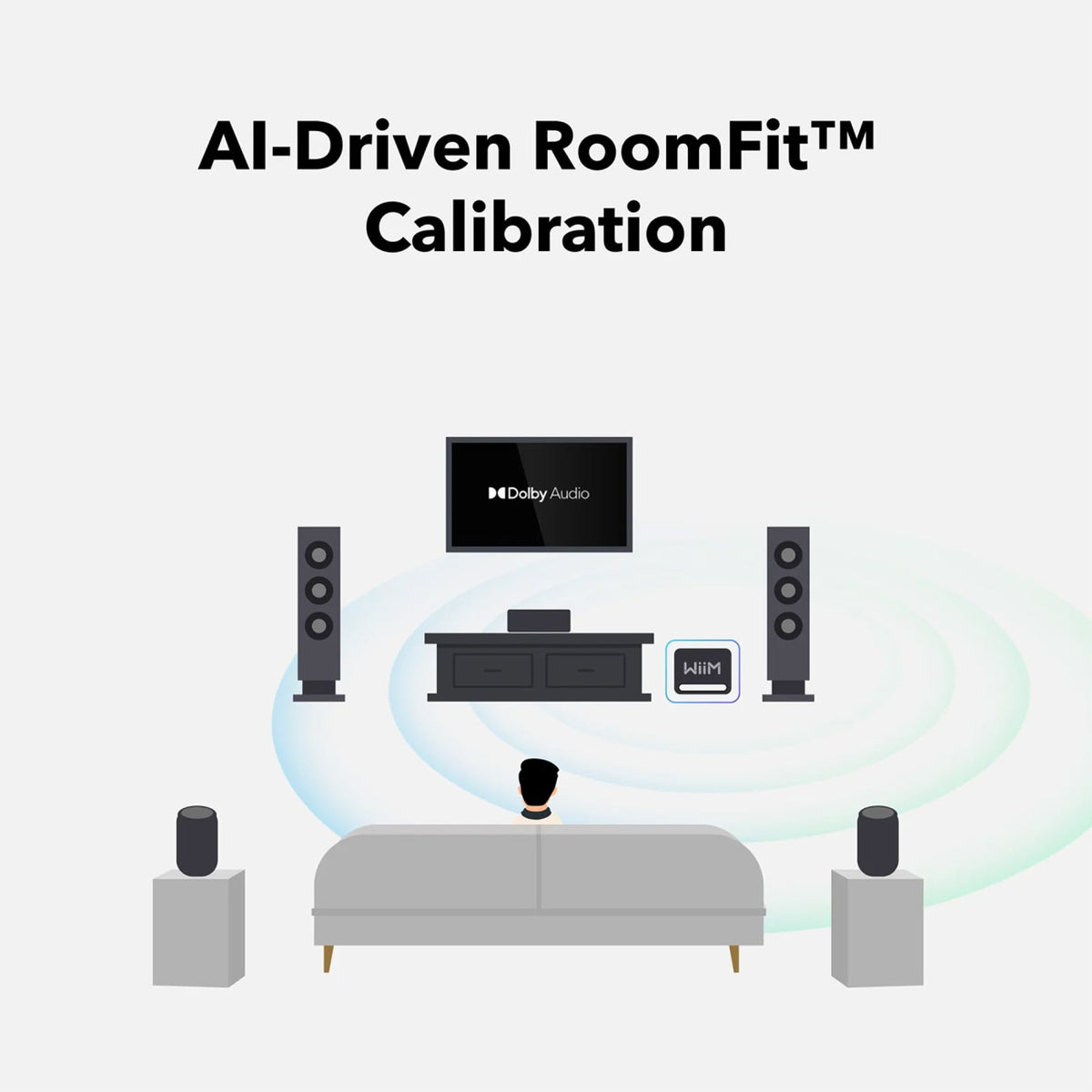 WiiM Sub Pro - Subwoofer Subwoofer