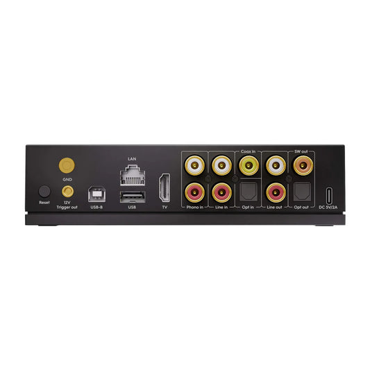 Arylic LP100 - Fullmatad Musikstreamer Musikstreamer