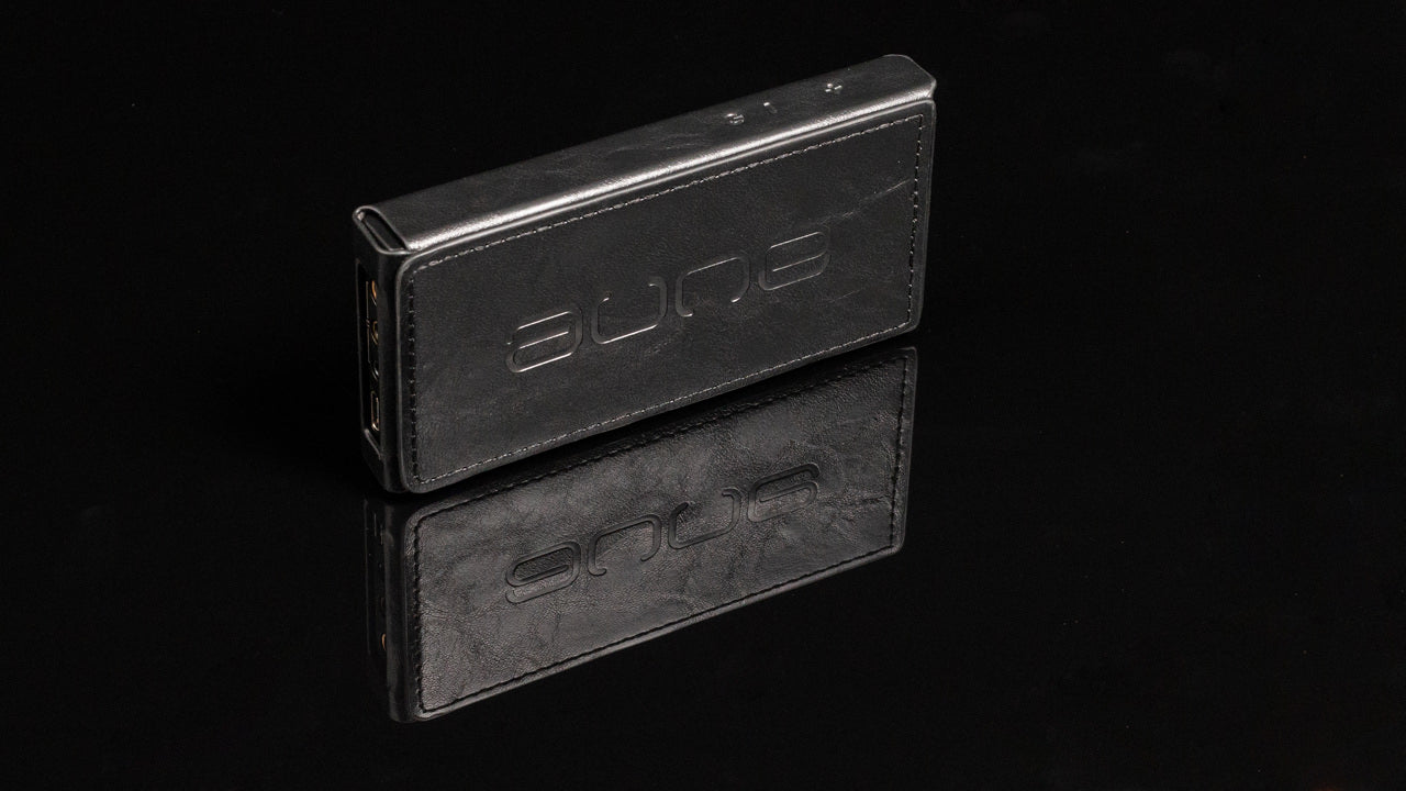 Aune M1p fodral