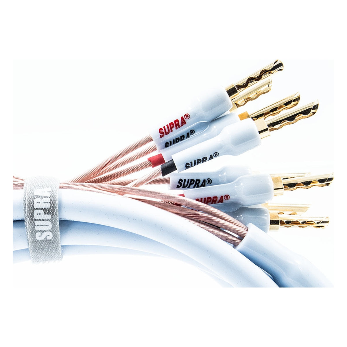 Supra XL Annorum CombiCon Bi-Amp 4Banana - 4Banana (pair) Terminerad-högtalarkabel