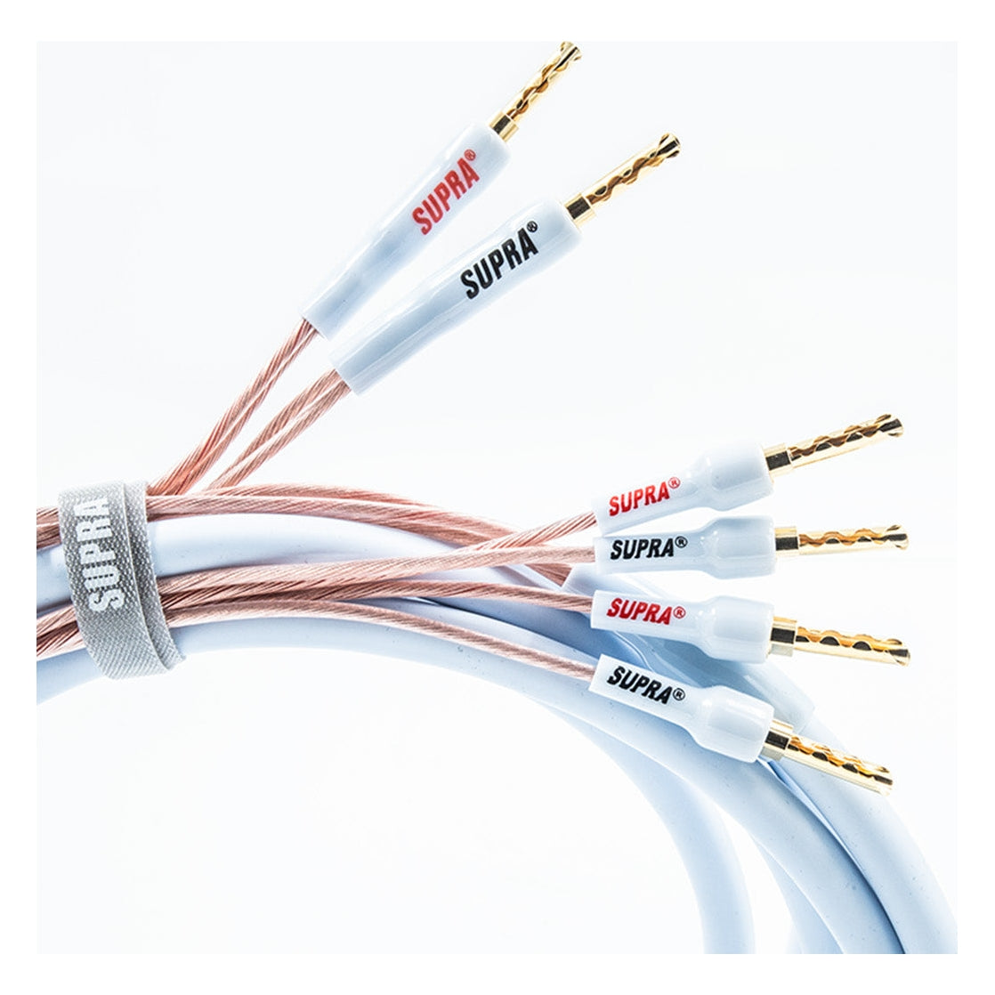 Supra XL Annorum CombiCon Bi-Wire 2Banana - 4Banana (pair) Terminerad-högtalarkabel