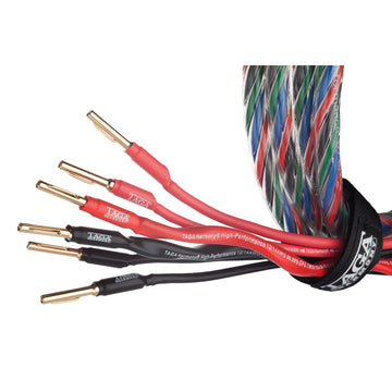 TAGA Azure 12/14 Bi-Wire (2x3m) Terminerad-högtalarkabel
