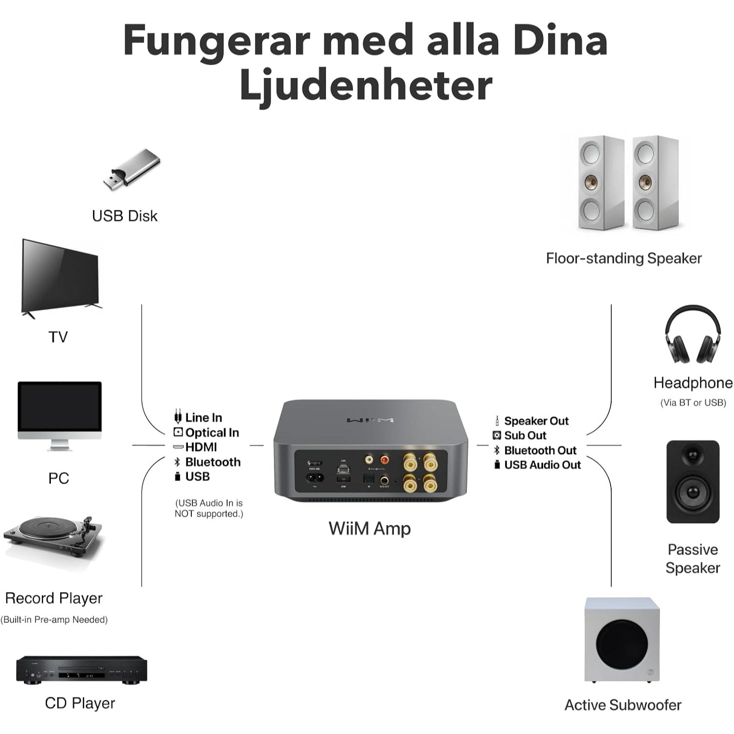 WiiM Amp Stereoförstärkare
