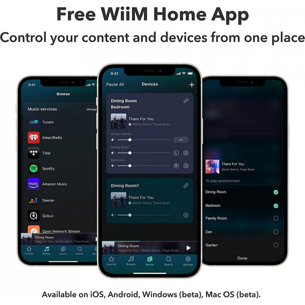 WiiM Pro Plus Musikstreamer
