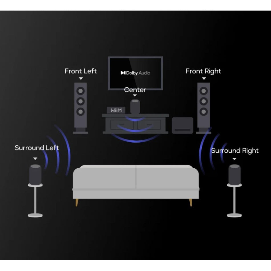 WiiM Sound Lite - Kompakt smart högtalare Aktiva högtalare