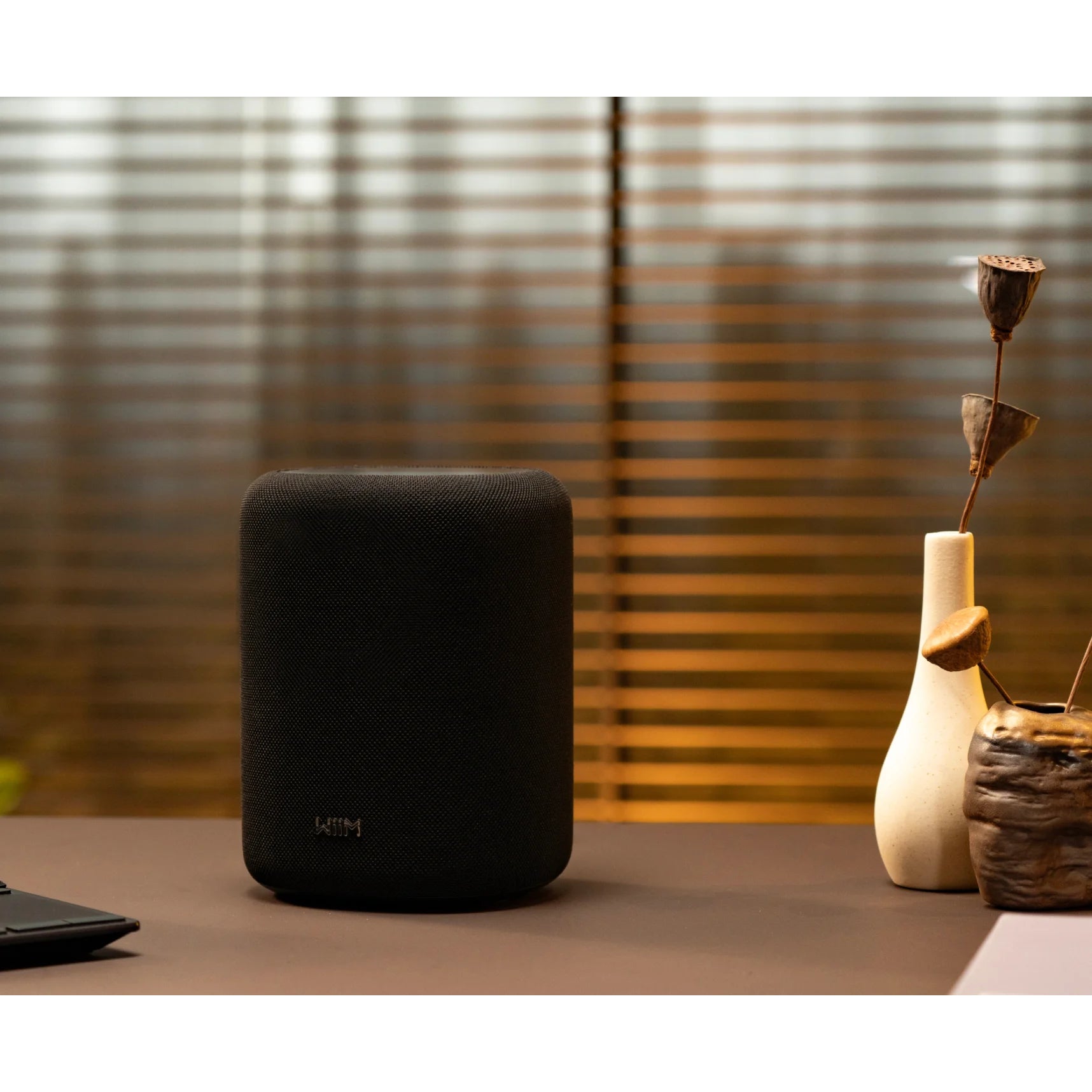 WiiM Sound Lite - Kompakt smart högtalare Aktiva högtalare