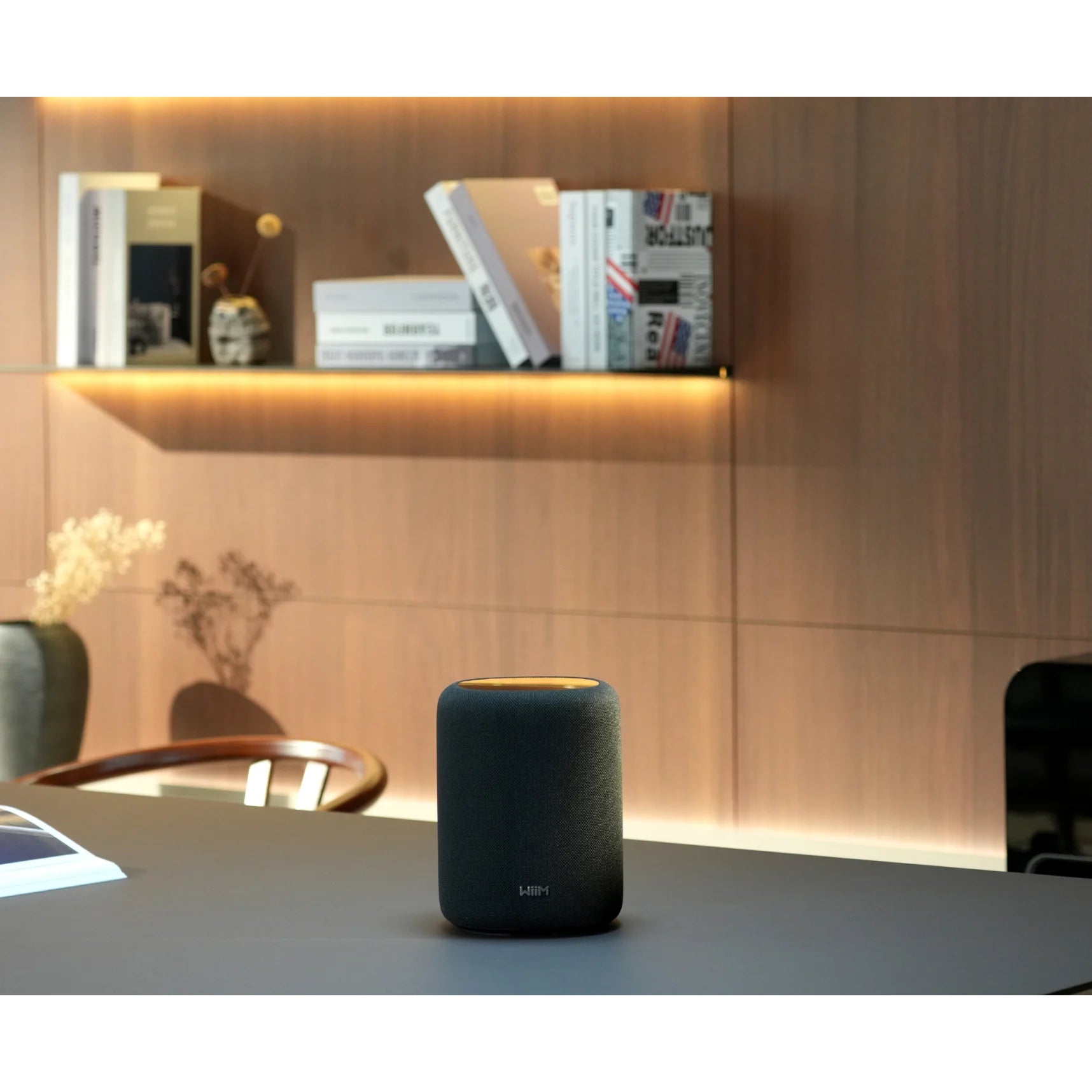 WiiM Sound Lite - Kompakt smart högtalare Aktiva högtalare
