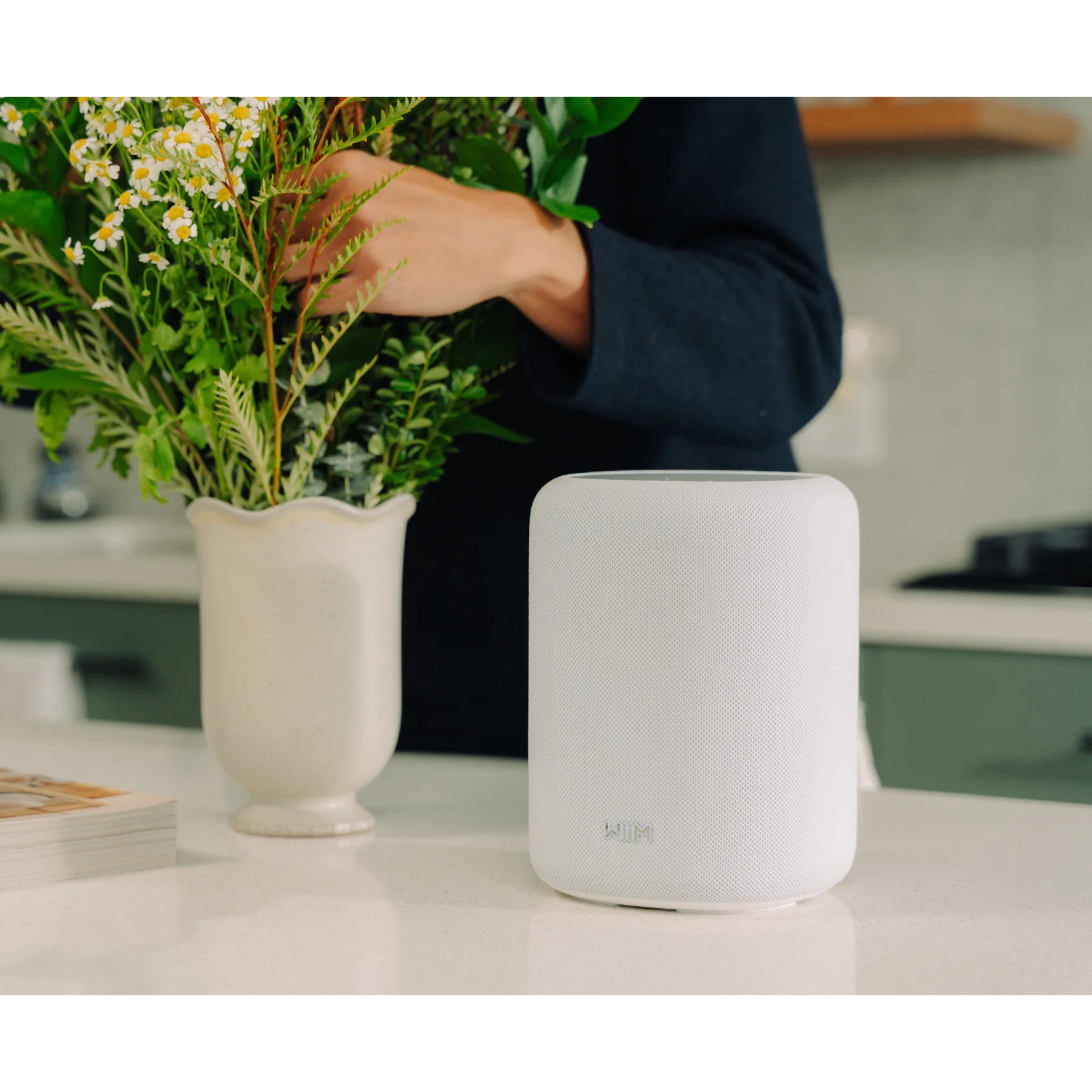 WiiM Sound Lite - Kompakt smart högtalare Aktiva högtalare