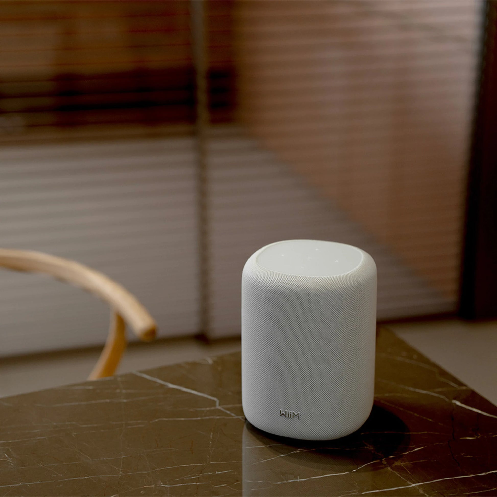 WiiM Sound Lite - Kompakt smart högtalare Aktiva högtalare
