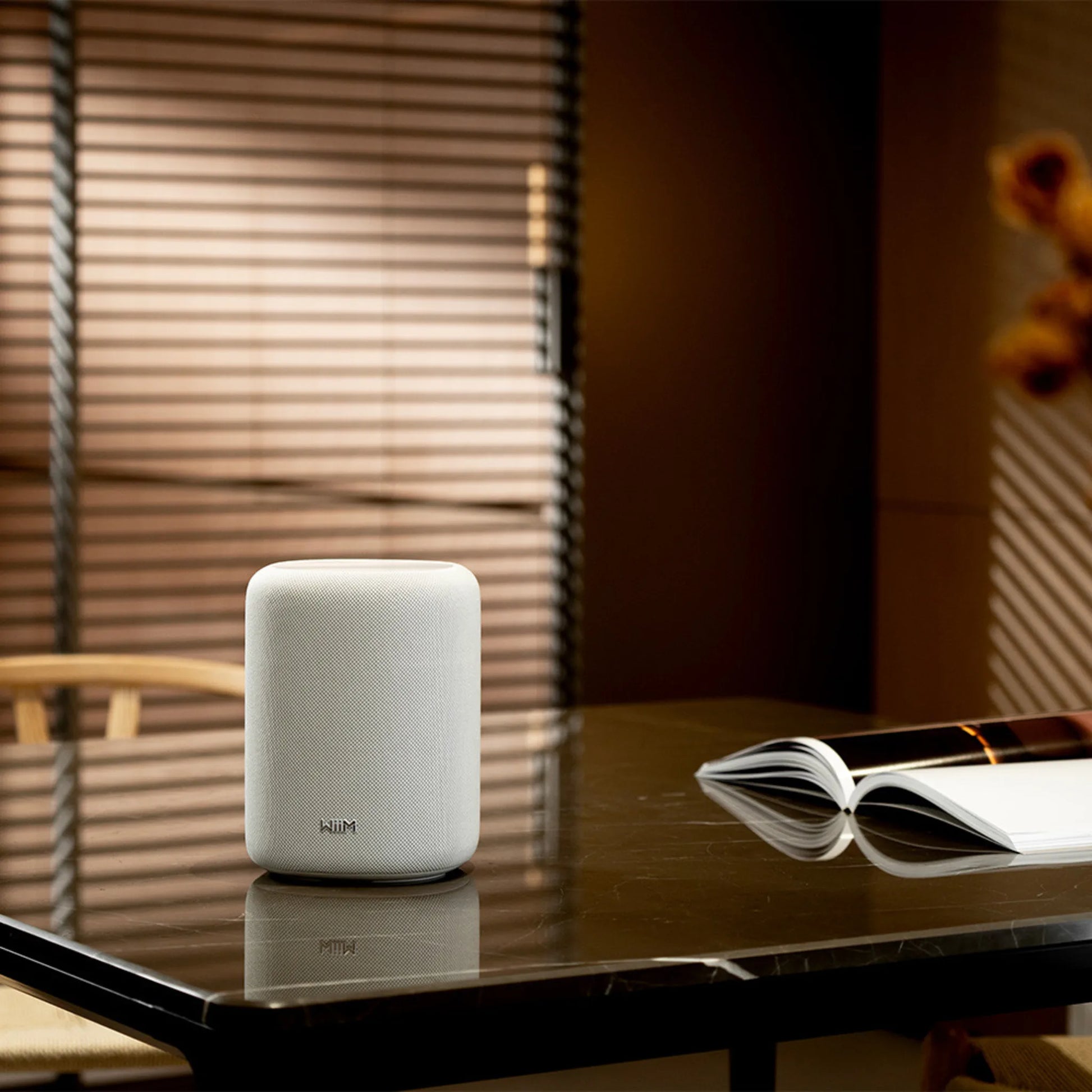 WiiM Sound Lite - Kompakt smart högtalare Aktiva högtalare